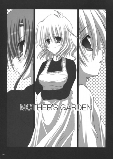 (SC33) [NOPPIKIYA (Touda Rui)] EMOTION PICTURE (Hayate no Gotoku!) - page 13