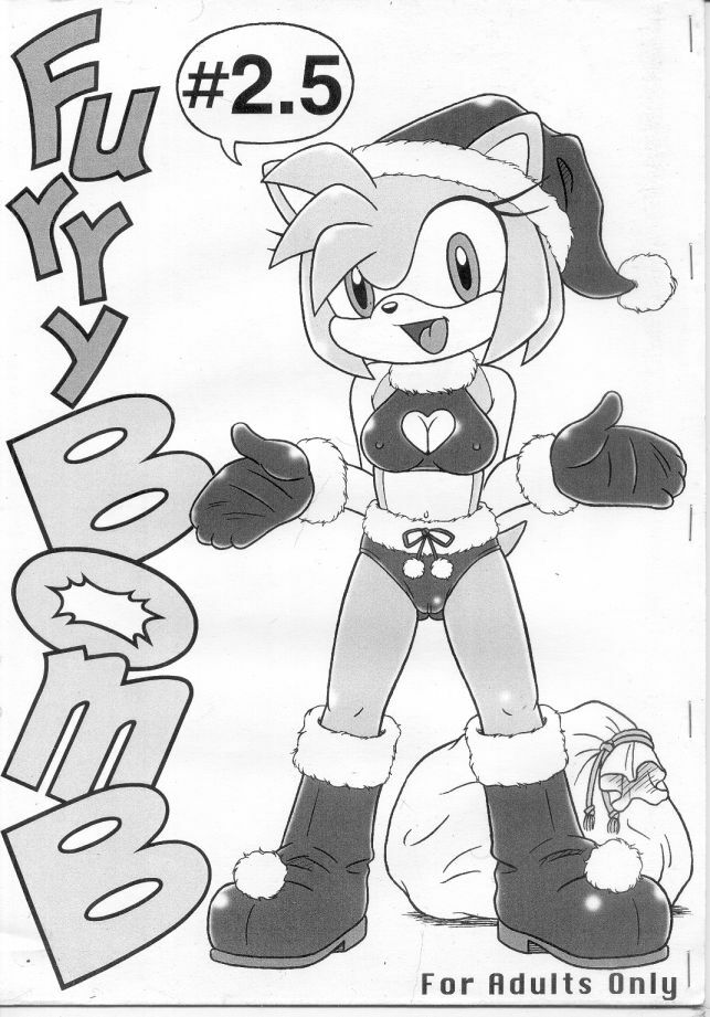 (C67) [Furry Bomb Factory (Karate Akabon)] Furry BOMB #2.5 (Sonic the Hedgehog) page 1 full