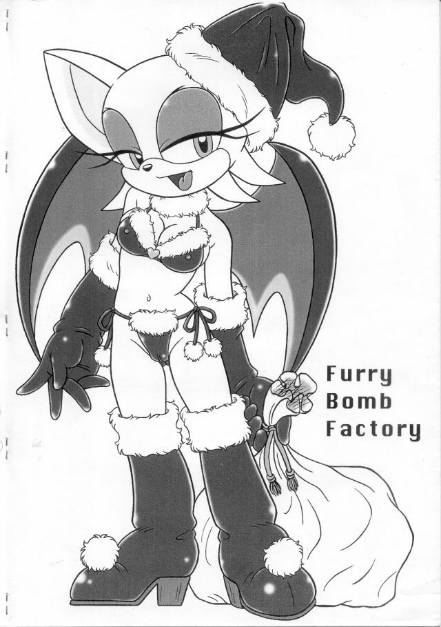 (C67) [Furry Bomb Factory (Karate Akabon)] Furry BOMB #2.5 (Sonic the Hedgehog) page 12 full