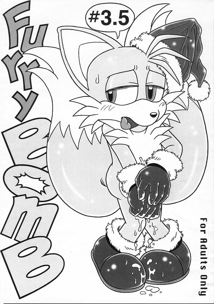 (C69) [Furry Bomb Factory (Karate Akabon)] Furry BOMB #3.5 (Sonic the Hedgehog) page 1 full