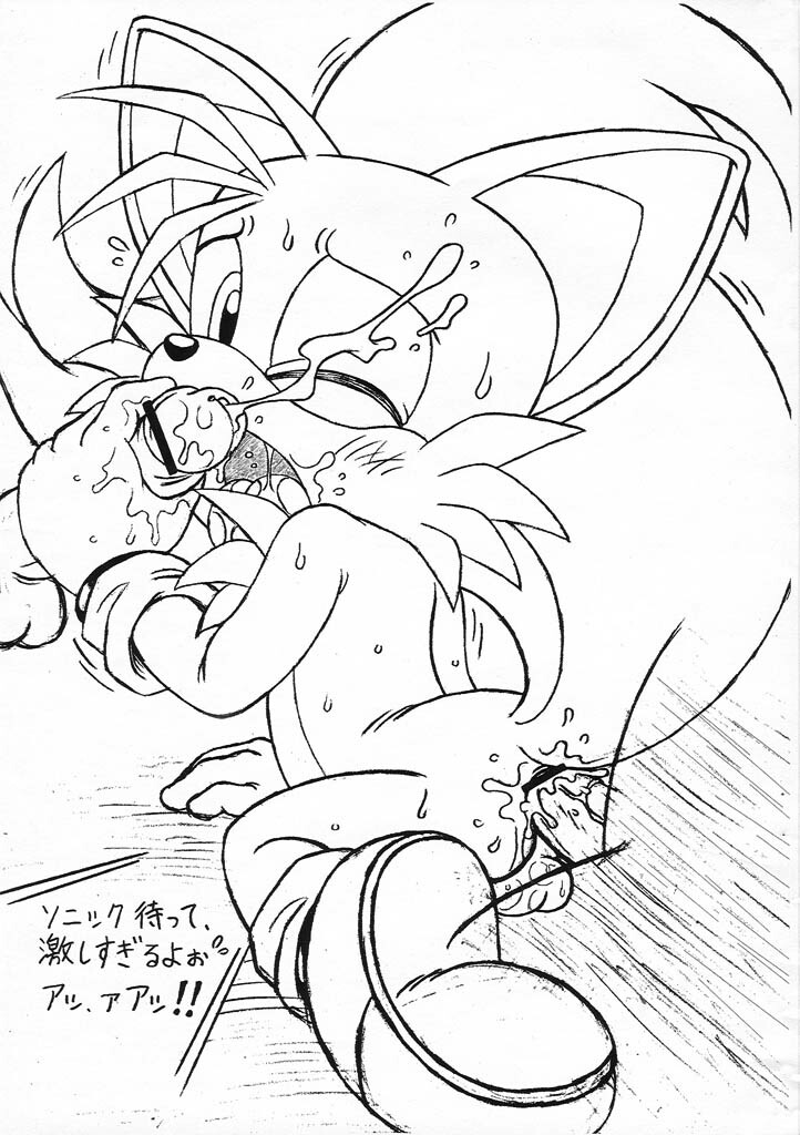 (C69) [Furry Bomb Factory (Karate Akabon)] Furry BOMB #3.5 (Sonic the Hedgehog) page 3 full