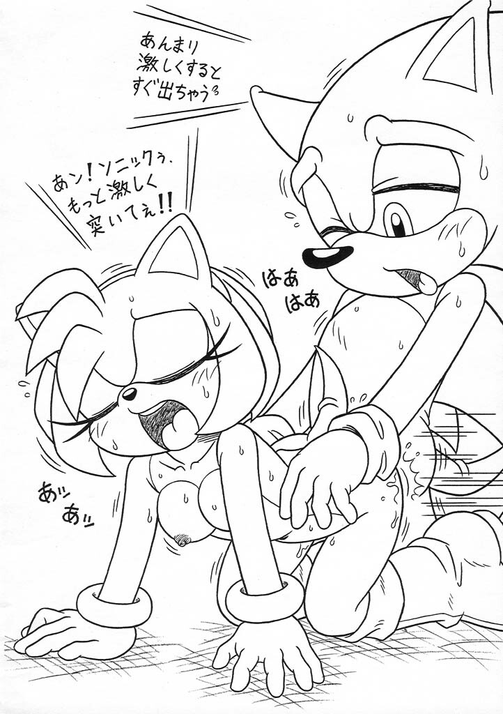 (C69) [Furry Bomb Factory (Karate Akabon)] Furry BOMB #3.5 (Sonic the Hedgehog) page 4 full