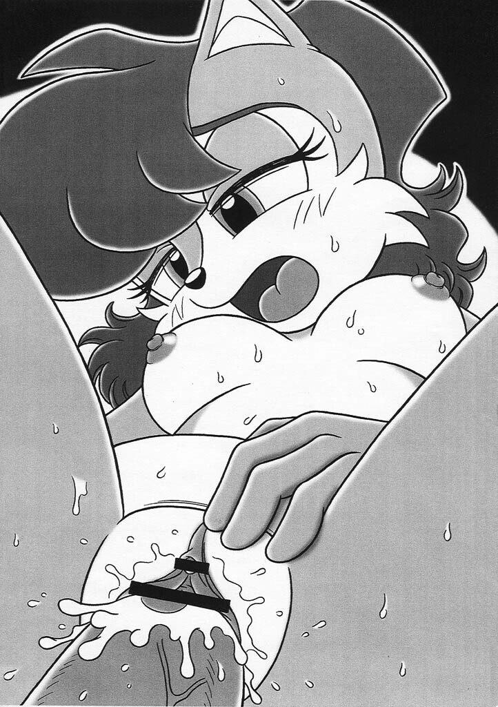 (C69) [Furry Bomb Factory (Karate Akabon)] Furry BOMB #3.5 (Sonic the Hedgehog) page 6 full