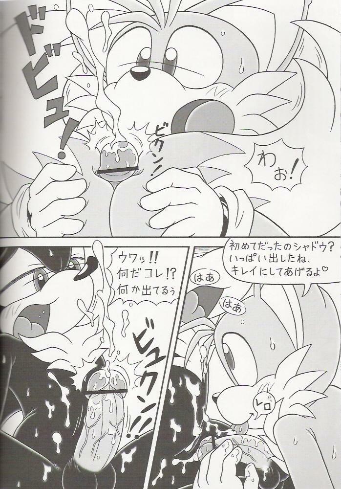 (C70) [Furry Bomb Factory (Karate Akabon)] Furry BOMB #4 (Sonic the Hedgehog) page 10 full
