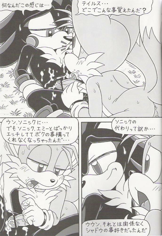 (C70) [Furry Bomb Factory (Karate Akabon)] Furry BOMB #4 (Sonic the Hedgehog) page 11 full