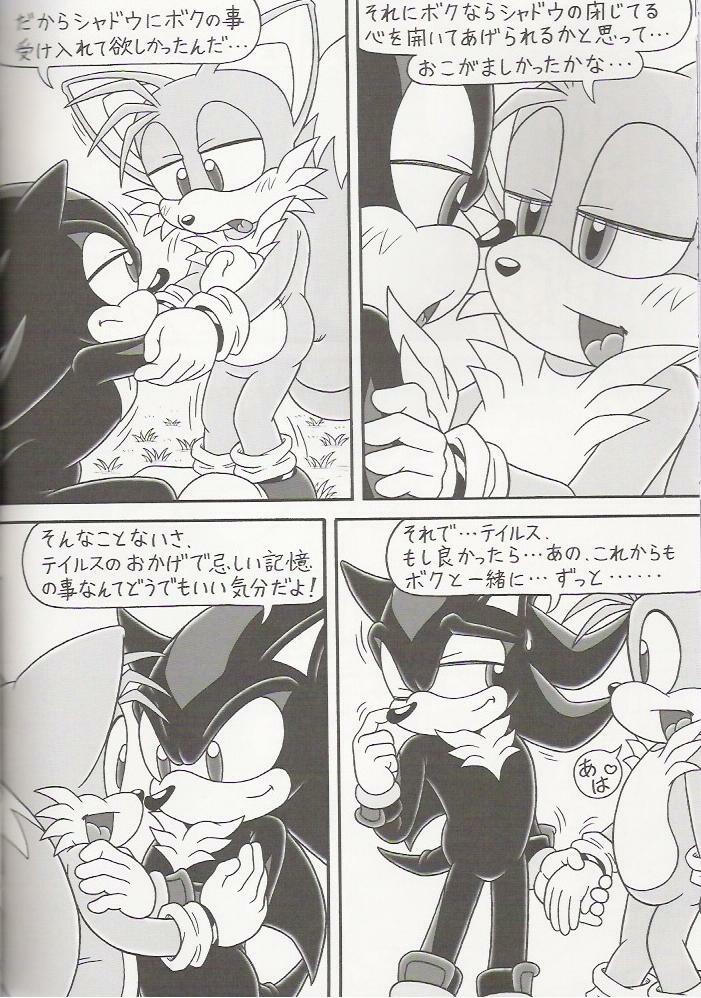 (C70) [Furry Bomb Factory (Karate Akabon)] Furry BOMB #4 (Sonic the Hedgehog) page 12 full