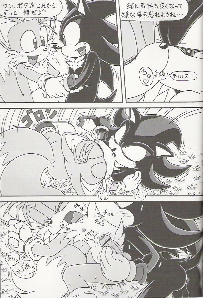 (C70) [Furry Bomb Factory (Karate Akabon)] Furry BOMB #4 (Sonic the Hedgehog) page 13 full