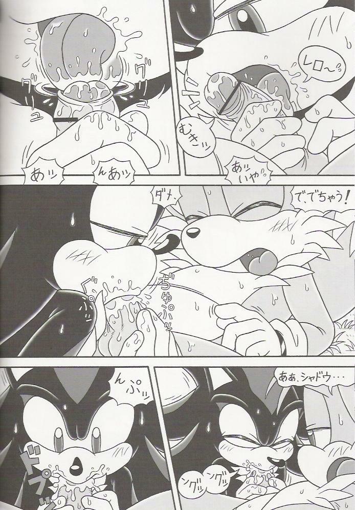 (C70) [Furry Bomb Factory (Karate Akabon)] Furry BOMB #4 (Sonic the Hedgehog) page 14 full