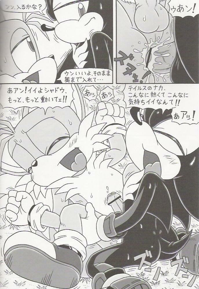 (C70) [Furry Bomb Factory (Karate Akabon)] Furry BOMB #4 (Sonic the Hedgehog) page 16 full
