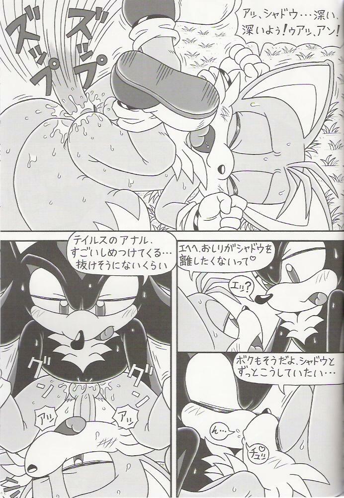 (C70) [Furry Bomb Factory (Karate Akabon)] Furry BOMB #4 (Sonic the Hedgehog) page 17 full
