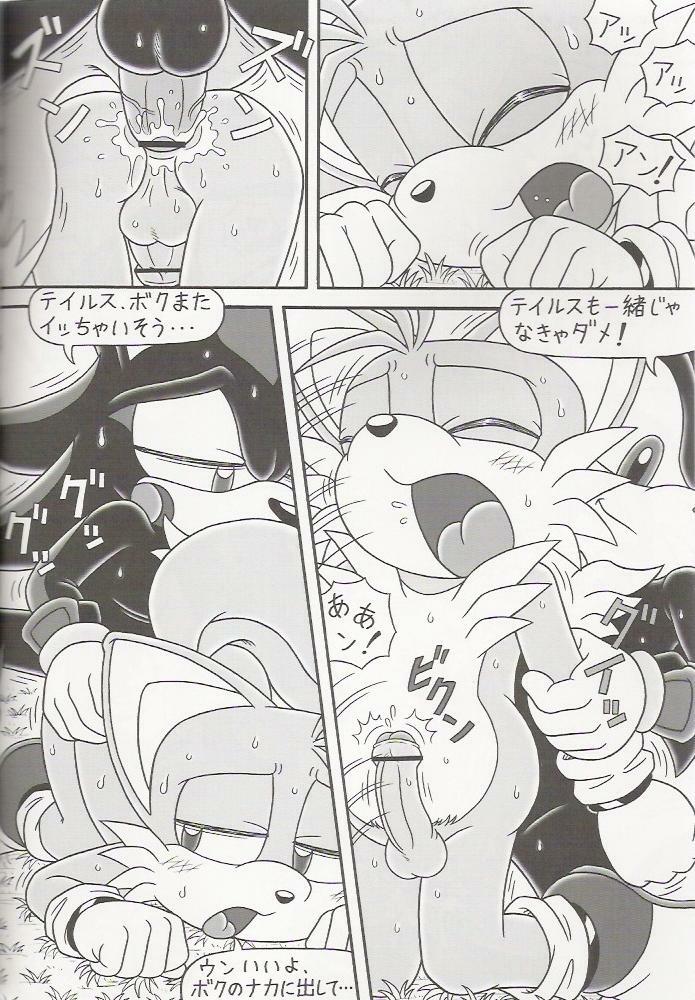 (C70) [Furry Bomb Factory (Karate Akabon)] Furry BOMB #4 (Sonic the Hedgehog) page 18 full