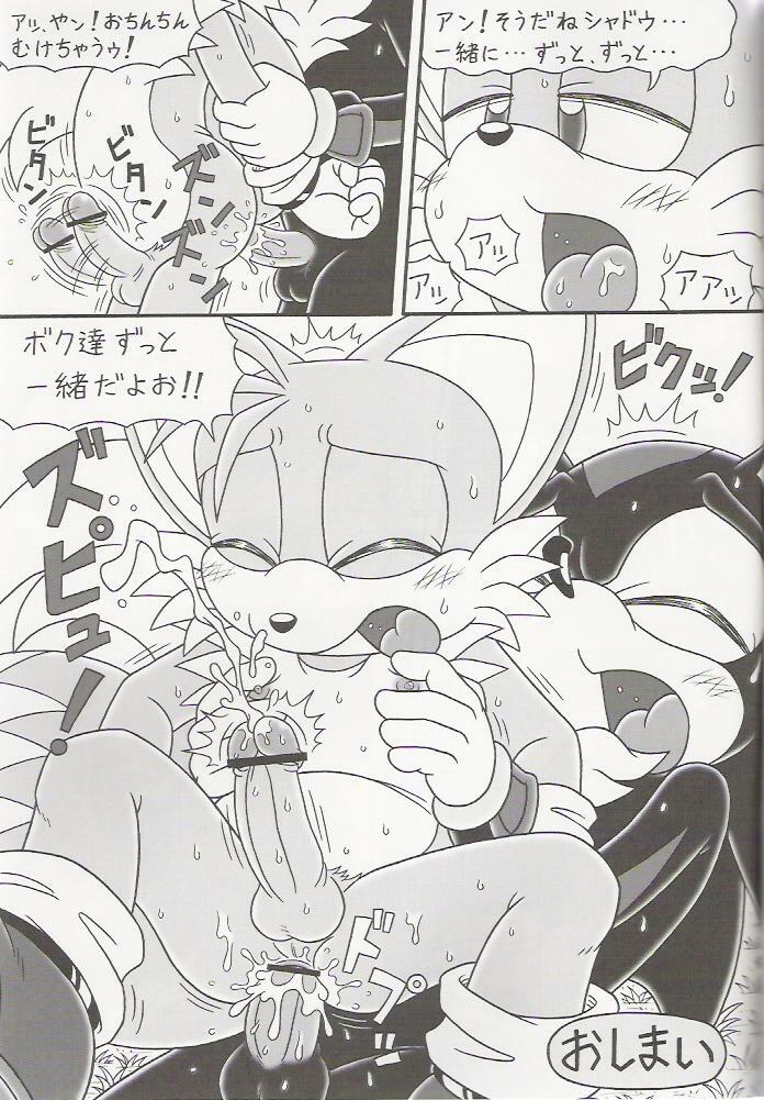 (C70) [Furry Bomb Factory (Karate Akabon)] Furry BOMB #4 (Sonic the Hedgehog) page 19 full