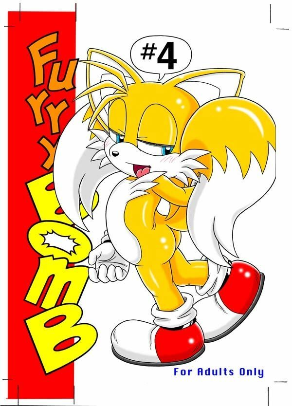 (C70) [Furry Bomb Factory (Karate Akabon)] Furry BOMB #4 (Sonic the Hedgehog) page 2 full