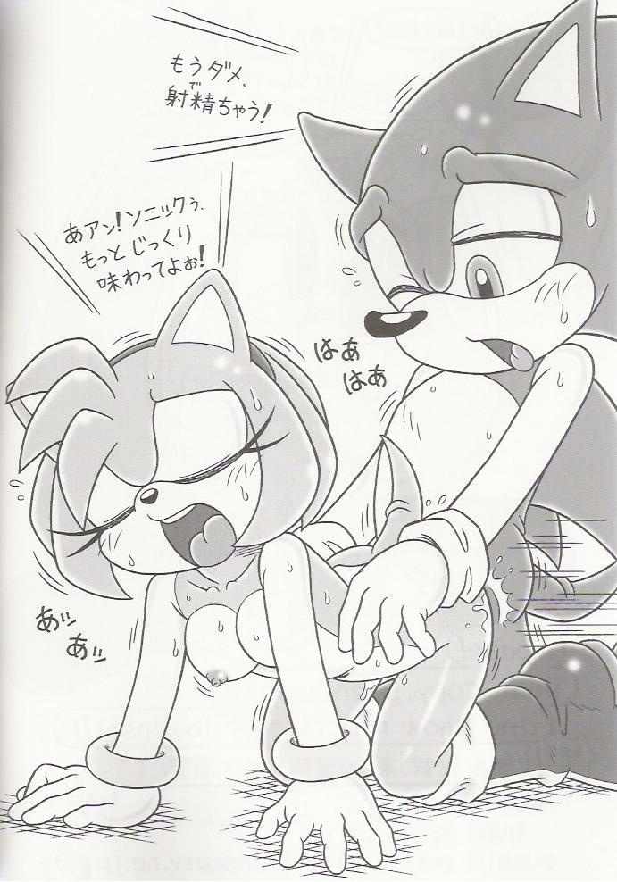 (C70) [Furry Bomb Factory (Karate Akabon)] Furry BOMB #4 (Sonic the Hedgehog) page 22 full