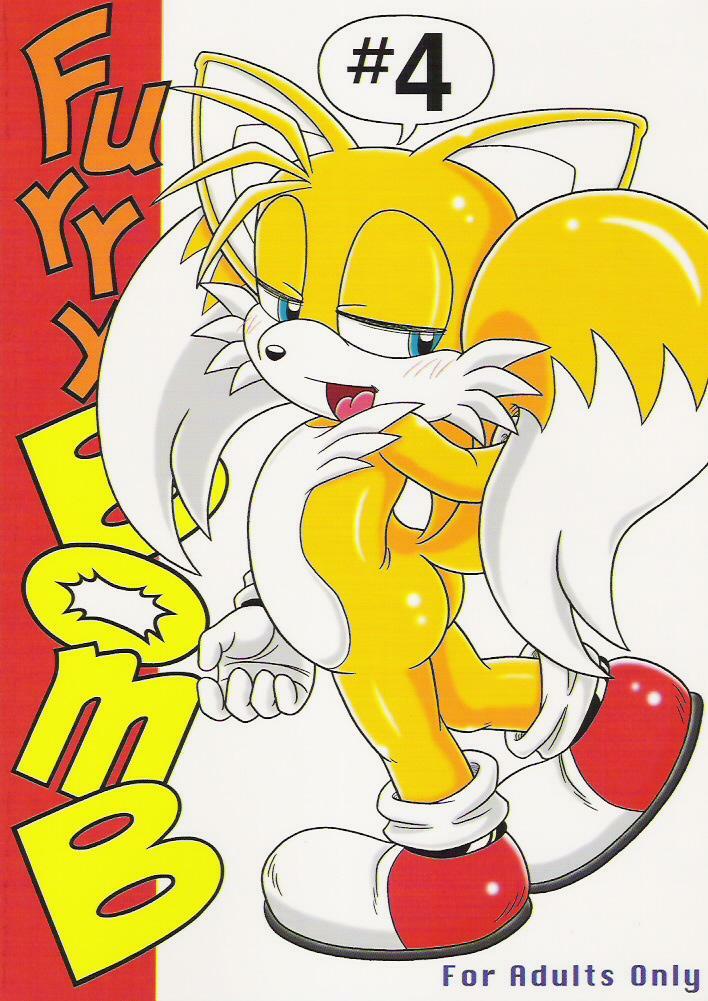 (C70) [Furry Bomb Factory (Karate Akabon)] Furry BOMB #4 (Sonic the Hedgehog) page 3 full