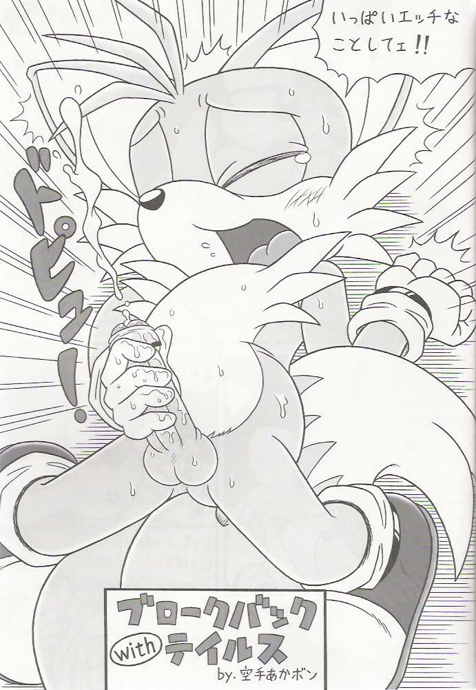 (C70) [Furry Bomb Factory (Karate Akabon)] Furry BOMB #4 (Sonic the Hedgehog) page 5 full