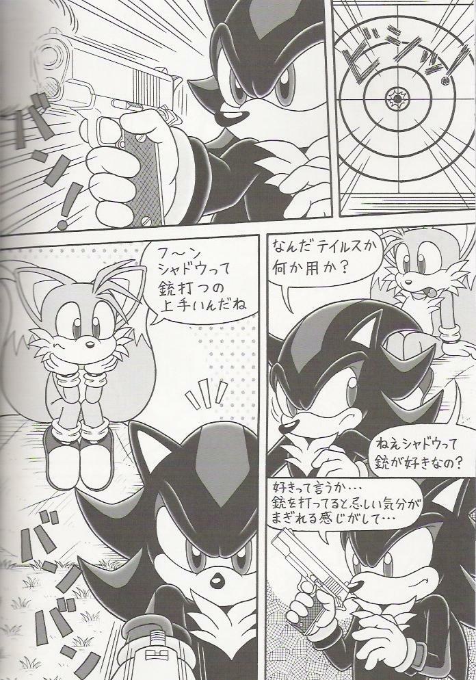 (C70) [Furry Bomb Factory (Karate Akabon)] Furry BOMB #4 (Sonic the Hedgehog) page 6 full