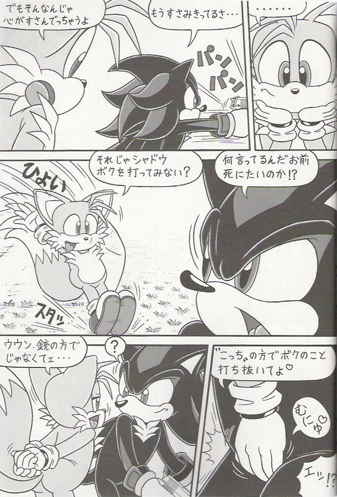 (C70) [Furry Bomb Factory (Karate Akabon)] Furry BOMB #4 (Sonic the Hedgehog) page 7 full