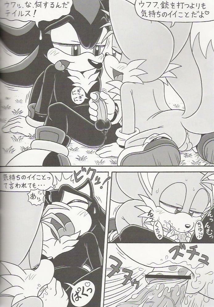 (C70) [Furry Bomb Factory (Karate Akabon)] Furry BOMB #4 (Sonic the Hedgehog) page 8 full