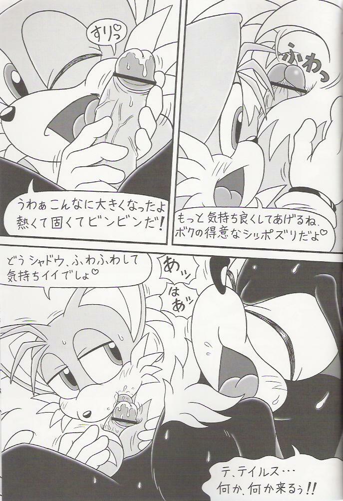 (C70) [Furry Bomb Factory (Karate Akabon)] Furry BOMB #4 (Sonic the Hedgehog) page 9 full