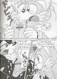 (C70) [Furry Bomb Factory (Karate Akabon)] Furry BOMB #4 (Sonic the Hedgehog) - page 10