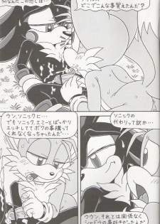 (C70) [Furry Bomb Factory (Karate Akabon)] Furry BOMB #4 (Sonic the Hedgehog) - page 11