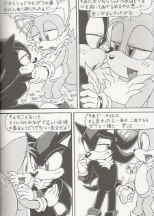 (C70) [Furry Bomb Factory (Karate Akabon)] Furry BOMB #4 (Sonic the Hedgehog) - page 12