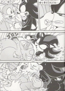 (C70) [Furry Bomb Factory (Karate Akabon)] Furry BOMB #4 (Sonic the Hedgehog) - page 13