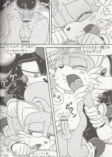 (C70) [Furry Bomb Factory (Karate Akabon)] Furry BOMB #4 (Sonic the Hedgehog) - page 18