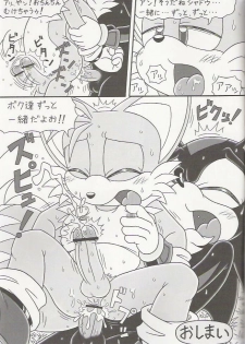 (C70) [Furry Bomb Factory (Karate Akabon)] Furry BOMB #4 (Sonic the Hedgehog) - page 19