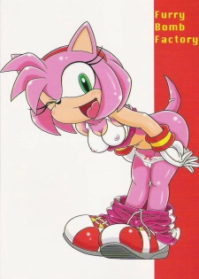 (C70) [Furry Bomb Factory (Karate Akabon)] Furry BOMB #4 (Sonic the Hedgehog) - page 24