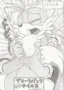 (C70) [Furry Bomb Factory (Karate Akabon)] Furry BOMB #4 (Sonic the Hedgehog) - page 5