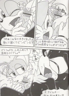 (C70) [Furry Bomb Factory (Karate Akabon)] Furry BOMB #4 (Sonic the Hedgehog) - page 9