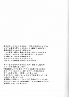 (Arancar Butoukai) [Funny Devil (Okada Reimi)] Pretty Lies (Bleach) - page 14