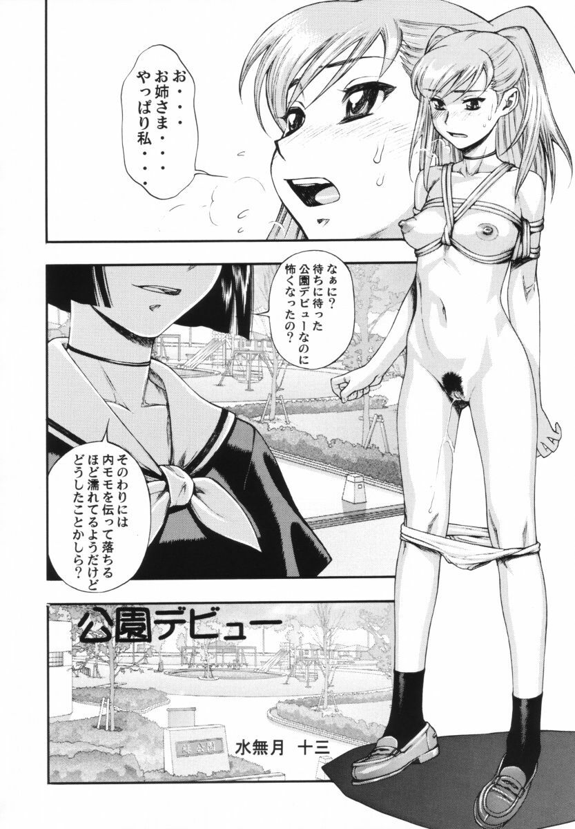 [Shuudan Bouryoku (集団暴力)] HOOLIGANISM File/10 RECORD OF ALDELAYD ExhibitionDX2 page 6 full