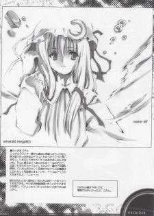 (C66) [Douganebuibui (Aburidashi Zakuro)] Mugen Jikan no Koi (Touhou Project) - page 17