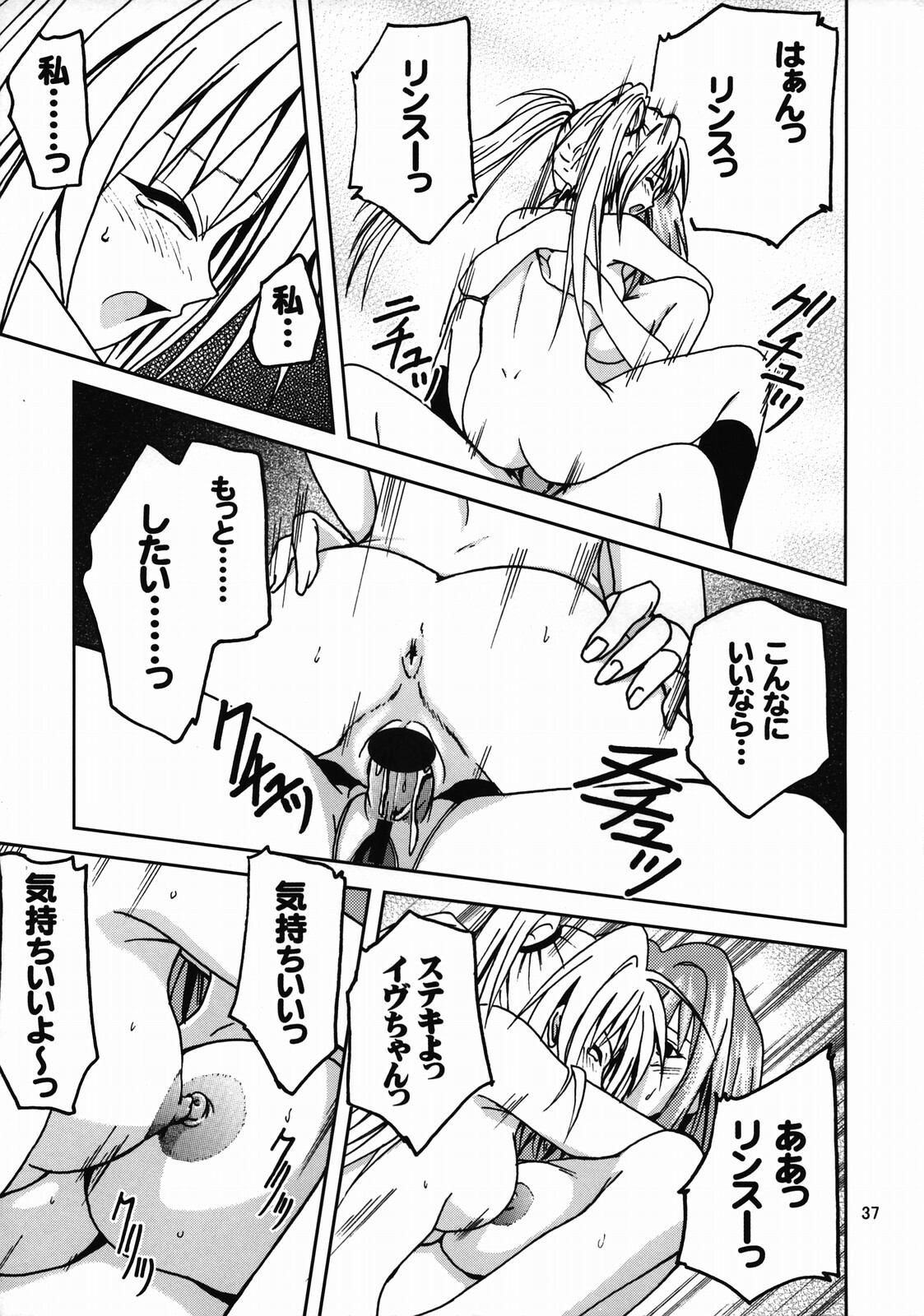 [S-Plus (SHIYAMI)] Hime no Kyuujitsu (Black Cat) page 36 full