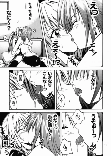 [S-Plus (SHIYAMI)] Hime no Kyuujitsu (Black Cat) - page 10