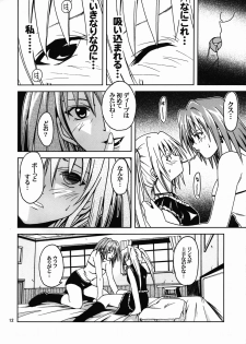 [S-Plus (SHIYAMI)] Hime no Kyuujitsu (Black Cat) - page 11