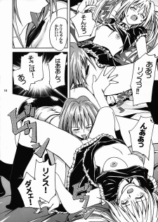 [S-Plus (SHIYAMI)] Hime no Kyuujitsu (Black Cat) - page 17