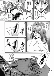 [S-Plus (SHIYAMI)] Hime no Kyuujitsu (Black Cat) - page 18