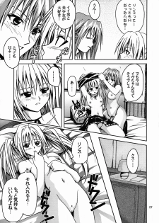 [S-Plus (SHIYAMI)] Hime no Kyuujitsu (Black Cat) - page 26