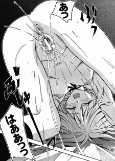 [S-Plus (SHIYAMI)] Hime no Kyuujitsu (Black Cat) - page 44