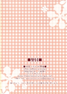 (SC32) [Petite*Cerisier (Sakura*Sakura)] Suzumiya Haruhi no Souzou (The Melancholy of Haruhi Suzumiya) - page 17