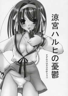 (SC31) [Takane no Hanazono (Takane Nohana)] Suzumiya Haruhi no Seiheki (The Melancholy of Haruhi Suzumiya) - page 2