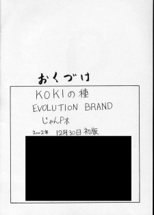 (C63) [EVOLUTION BRAND] Koki no Tane (One Piece) - page 41