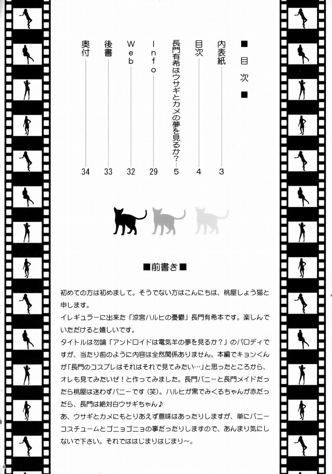 (C71) [U.R.C (MOMOYA SHOW-NEKO)] Nagato Yuki wa Usagi to Kame no Yume o Miru ka? (The Melancholy of Haruhi Suzumiya) page 3 full