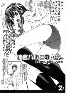 (C70) [MeroMeroFactory XL (Mochisuke Teru)] H Hon. (Suzumiya Haruhi no Yuuutsu) - page 2