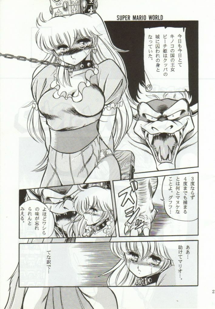 (CR15) [Circle Taihei-Tengoku (Horikawa Gorou)] Super Mario Collection (Super Mario Brothers) page 20 full