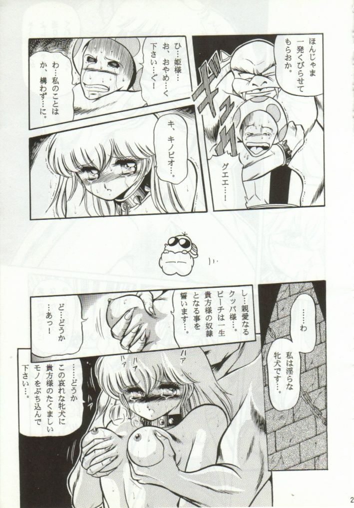 (CR15) [Circle Taihei-Tengoku (Horikawa Gorou)] Super Mario Collection (Super Mario Brothers) page 24 full